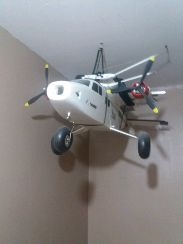 bushmule rc plane